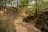 437 Firefly Field Ln - Photo 13
