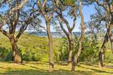 2412 Bee Creek Rd - Photo 22