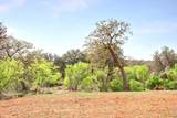 TBD County Road 110 Rd - Photo 11
