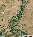 TBD County Road 110 Rd - Photo 12