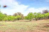 TBD County Road 110 Rd - Photo 5