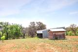TBD County Road 110 Rd - Photo 9