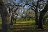 TBD County Road 404 - Photo 13
