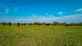TBD County Road 404 - Photo 26