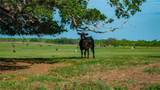 TBD County Road 404 - Photo 4