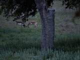 105 Majestic Hills - Photo 15