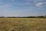 TBA County Road 417 - Photo 4