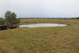 TBA County Road 417 - Photo 9