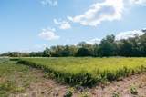 161 County Road 441 - Photo 19