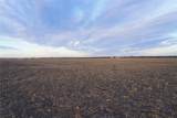 00 Highway 69 - Photo 3
