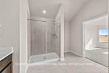 221 Tessaria Dr - Photo 10