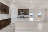 221 Tessaria Dr - Photo 8