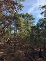 106 Llio Ct - Photo 4