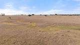 2501 County Road 224 - Photo 17