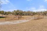 2501 County Road 224 - Photo 23