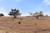 2501 County Road 224 - Photo 26