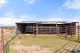 2501 County Road 224 - Photo 29