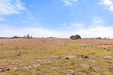 2501 County Road 224 - Photo 31