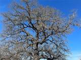 5279 Fm 2762 - Photo 8