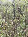 0000 Balch Rd - Photo 3