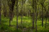 4082 Old Colony Line Rd - Photo 16