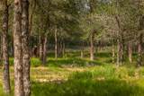 4082 Old Colony Line Rd - Photo 19