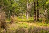 4082 Old Colony Line Rd - Photo 21