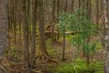 4082 Old Colony Line Rd - Photo 22