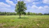 4082 Old Colony Line Rd - Photo 30