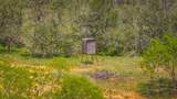 4082 Old Colony Line Rd - Photo 35