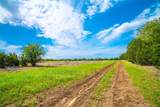 TBD Tracts 5 and 6 Cr 251 - Photo 11