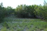 218 Spring Hollow Dr - Photo 28