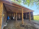 1115 County Road 414 - Photo 34