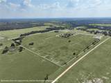 TBD Farm To Market Road 60 - Photo 16