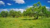 509 Sandy Lane Rd - Photo 4