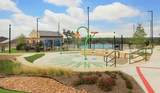 125 Basketflower Ln - Photo 10