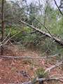 Lot 1603 Ulupau Cir - Photo 4
