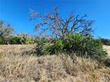 Lot 73 Shin Oak Dr - Photo 9