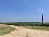 1117 County Road 423 - Photo 8