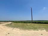 1117 County Road 423 - Photo 9