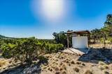 9763 Ranch Road 1623 - Photo 33