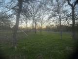 326 The Forest Rd - Photo 38