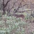 326 The Forest Rd - Photo 40