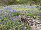 1365 Pedernales Hills Rd - Photo 11