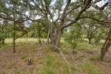 1365 Pedernales Hills Rd - Photo 19