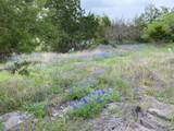 1365 Pedernales Hills Rd - Photo 9