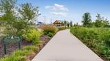 1305 Alana Falls Ave - Photo 27