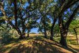 TBD Ranch Road 965 - Photo 40