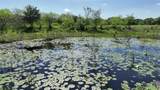 00 County Road 119 - Photo 22
