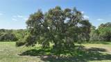 00 County Road 119 - Photo 24